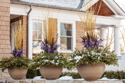 How to Figure Out Your Last Frost Date for a Healthy Spring Garden
