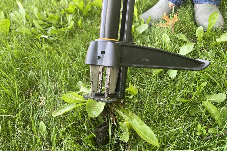 The Best Stand-Up Weeder We’ve Ever Used Pulls Out Dandelions and Crabgrass in Record Time—Shop It at Amazon Now