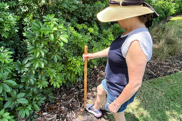 Gardening Grandmas Approve of These 7 Easy-to-Use Tools—and They’re All on Sale for Prime Day