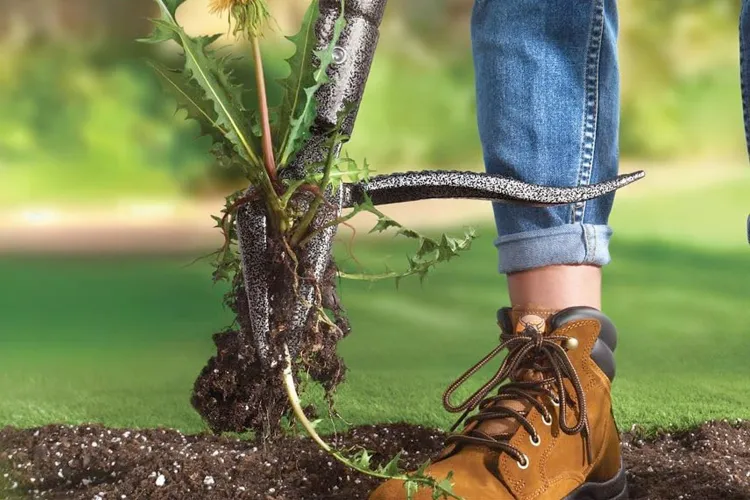 One Shopper Filled a 90-Gallon Bin With Dandelions Using This Back-Saving Weeder—and It’s Under $30 Right Now