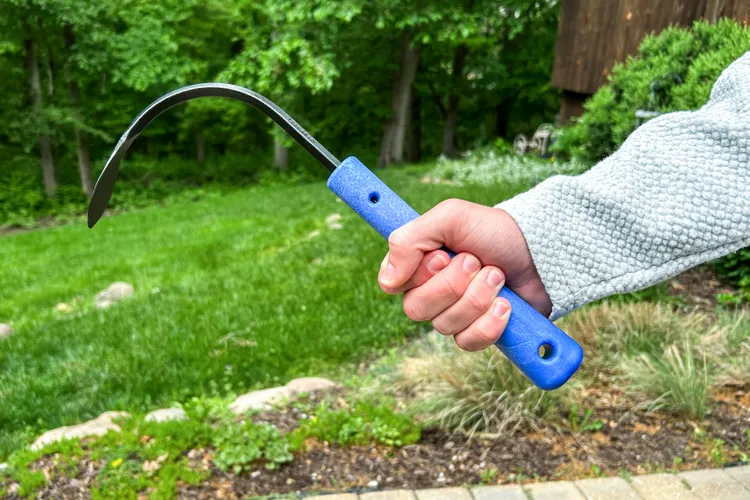 Get to the Root of Your Gardening Problems with the 6 Best Weeding Tools Our Editors Recommend