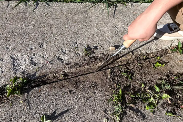 My Mom Is 75 and I’m 34—We Both Rely on This $12 Weeder to Clear Stubborn Weeds Fast