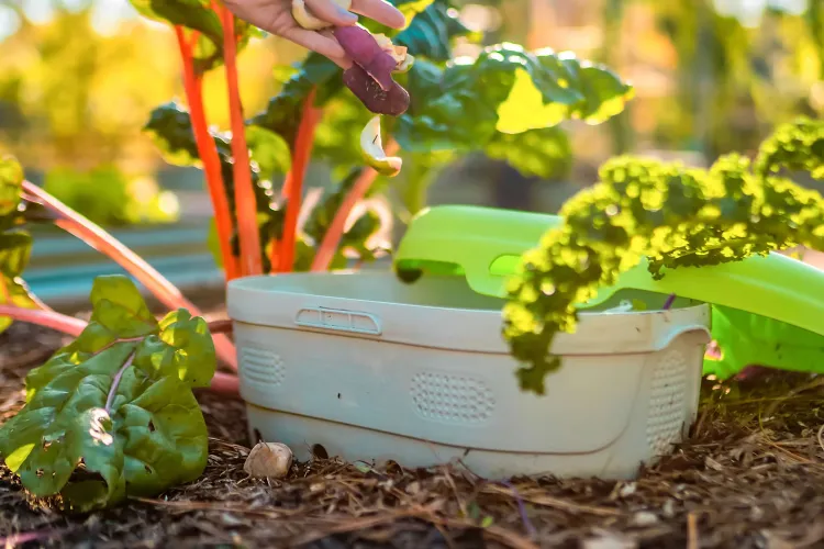After Testing Dozens of Pricey Electric Composters, I’ve Decided This Bin Is Way Better—and It’s Less Than $50