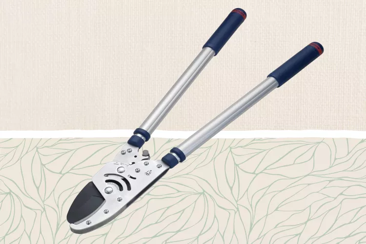 The 4 Best Loppers of 2026 Our Editors Love