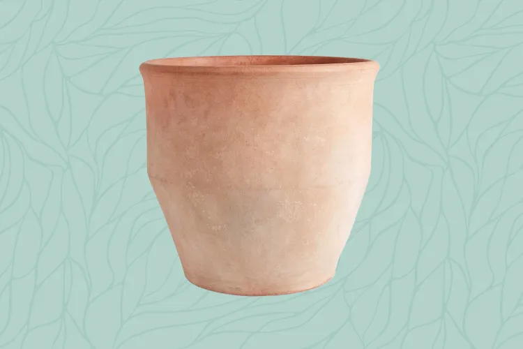 The 12 Best Outdoor Planters for Every Style and Budget