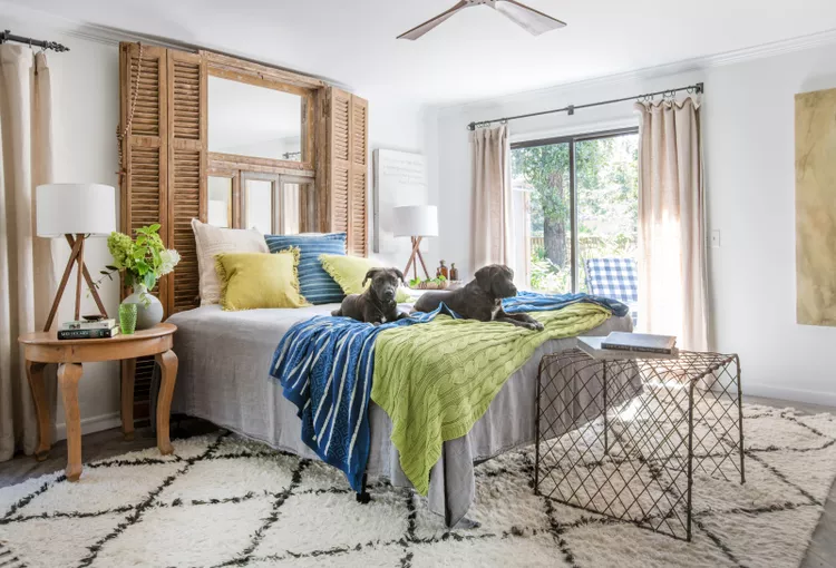 Is It OK to Let Your Pet Sleep in Your Bed? Here's What Cleaning Experts Say