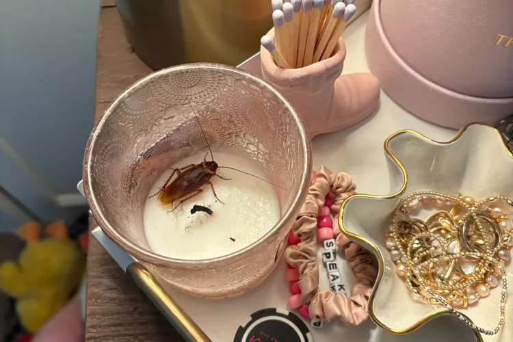 I Found a Roach in My Shoe—This Under-$10 Hack Solved My Disgusting Problem Fast