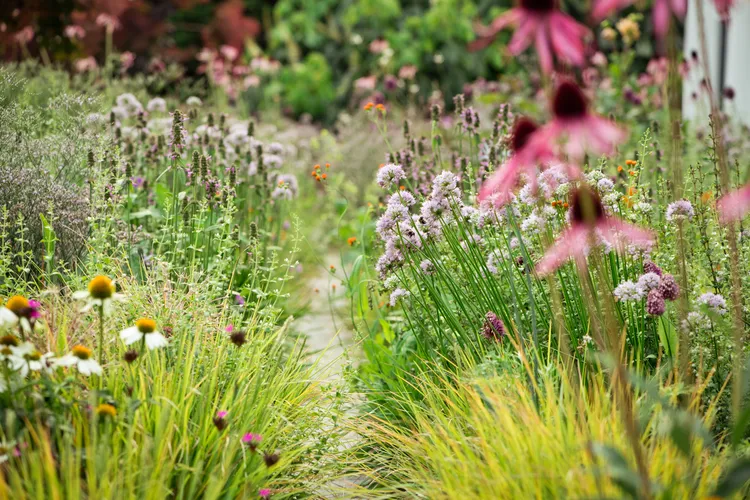 Embrace the Wildflower Tablescape Trend for Whimsical Summer Decor