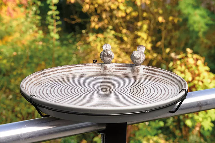 This $10 ALDI Find Will Turn Your Backyard into a Birdwatching Haven
