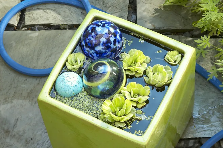 Microponds Are Making a Big Splash This Summer—Here’s How to DIY Your Own