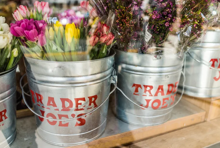 Trader Joe’s New $6 Dog Planters Are the Cutest Way to Brighten Your Windowsill This Summer