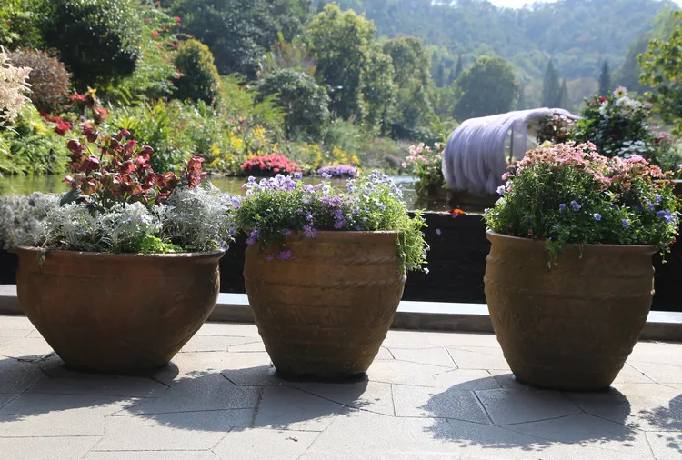 Martha Stewart’s 3-Part Formula for Filling Garden Planters That Look Full and Lush