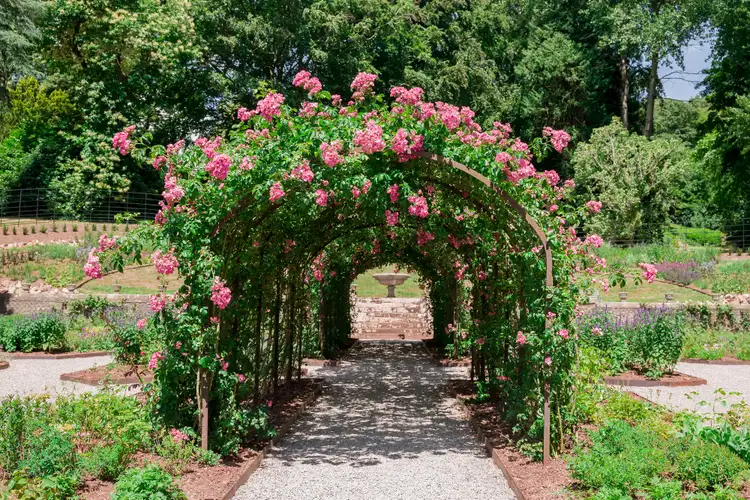 This Ina Garten-Inspired Trellis Idea Can Transform a Simple Garden Path