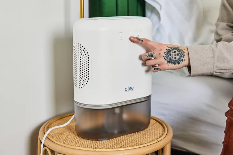 The 5 Best Small Dehumidifiers, According to Testing