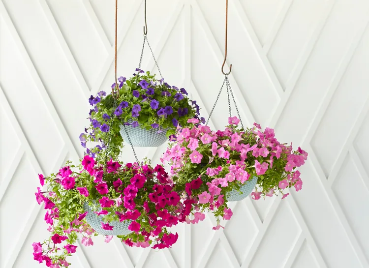 This Genius DIY Transforms a Stained Glass Light Fixture into a Hanging Flower Basket