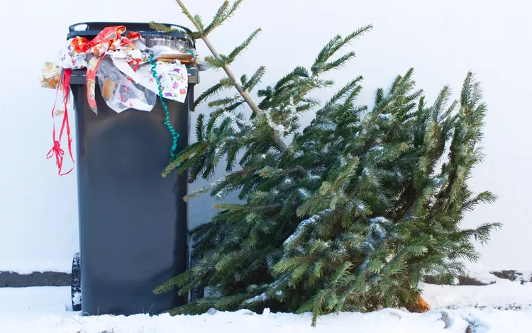 Why You Should Always Wait Until January 6 to Take Down Your Christmas Tree